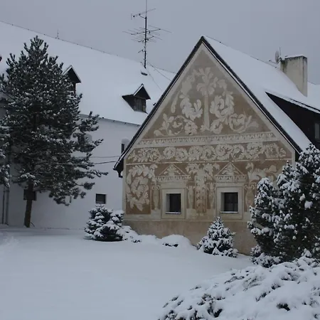 Tvrz Holesice-orlicka Prehrada, Penzion Guest house *