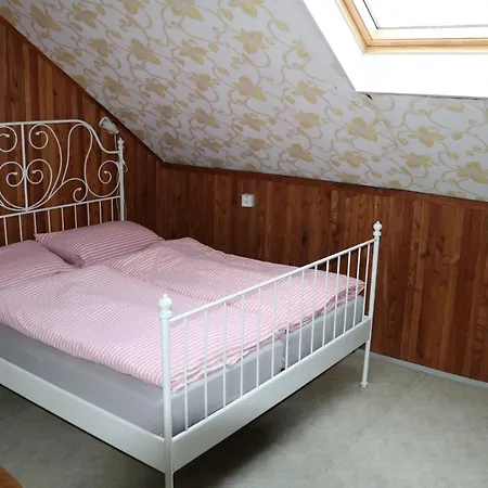 Tvrz Holesice-orlicka Prehrada, Penzion Guest house *